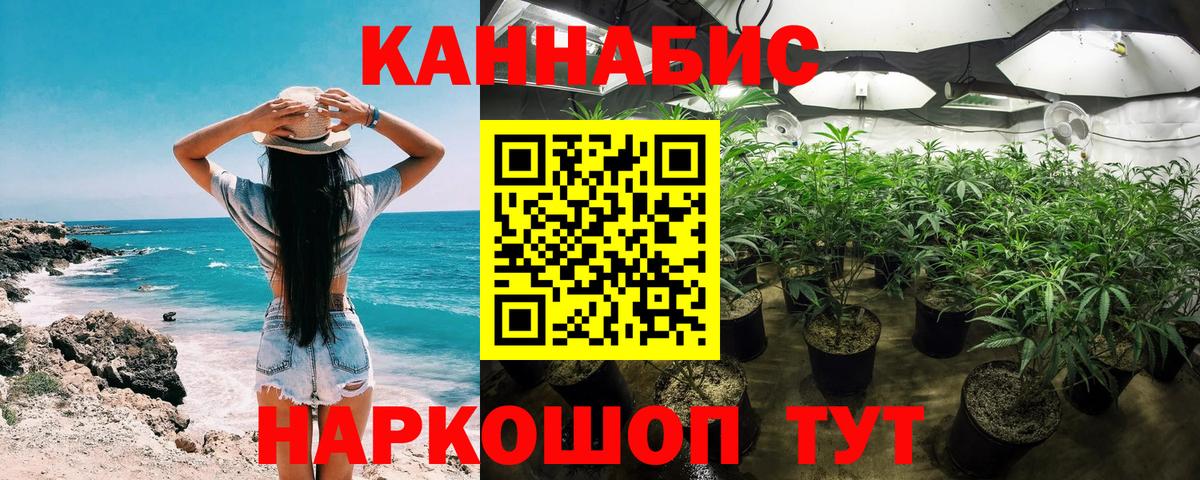 Бошки Шишки индика  Вход с VPN  Канабис тримм  Сертолово  Бошки марихуана White Widow 